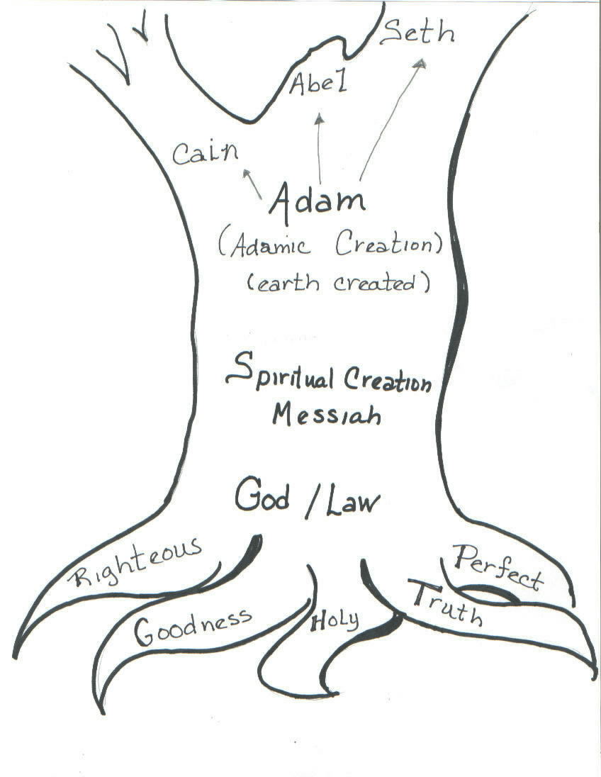 FamilyTreeTrunk